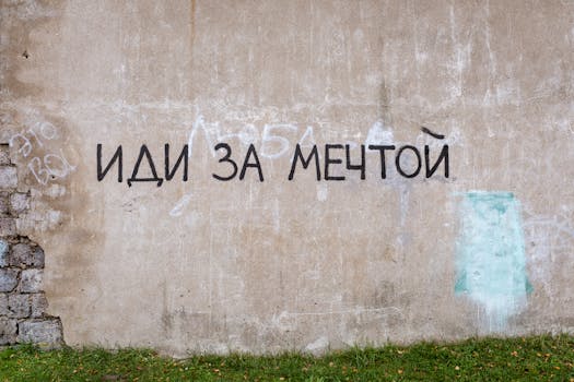 Muraly v Praze: Jak umění na stěnách mění komunity a město